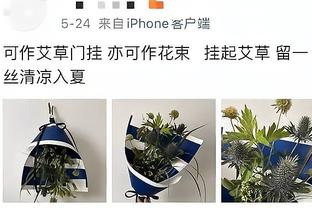 浓眉：范德比尔特是现象级的防守者 他能从东欧防到莱夫利